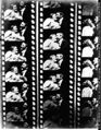The Kiss 1896 Film Strip.jpg