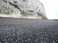Chalk cliffs and pebble beach - geograph.org.uk - 485482.jpg