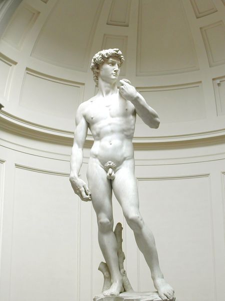 Soubor:Michelangelos David.jpg
