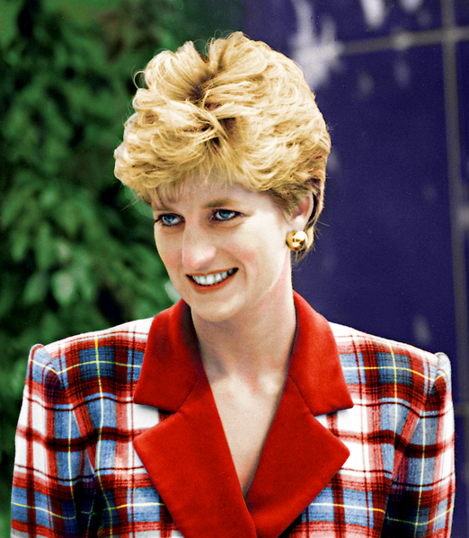 Soubor:Princess Diana at Accord Hospice2.png