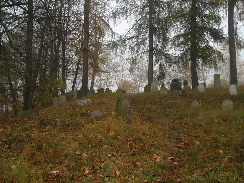 Soubor:Židovský hřbitov v Puklicích .JPG