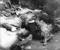 Polish civilians murdered by German-SS-troops in Warsaw Uprising Warsaw August 1944.jpg
