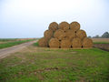 85 round straw bales beside North Drove, Bicker Fen, Lincs - geograph.org.uk - 260244.jpg