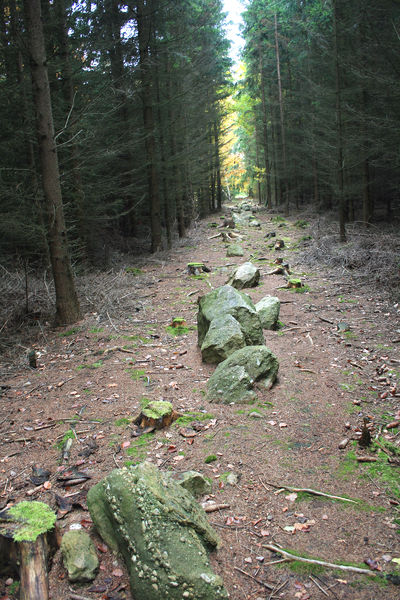 Soubor:Kounov kamenné řady 1.jpg