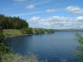 A Bay on Loch Naver - geograph.org.uk - 478985.jpg