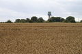 Cereal fields at Oglet - geograph.org.uk - 1147658.jpg
