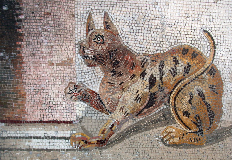 Soubor:Cat mosaic.JPG