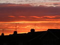 Rooftops silhouetted against sunset.jpg