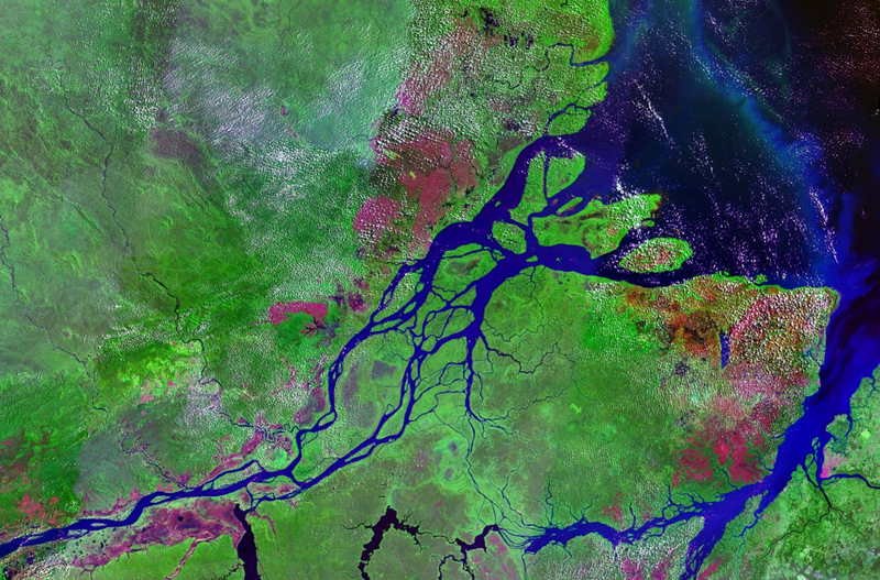 Soubor:Mouths of amazon geocover 1990.png