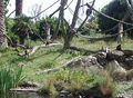 Wellington Zoo Monkey Island.JPG