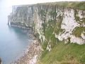 Chalk cliffs at Bempton - geograph.org.uk - 604831.jpg