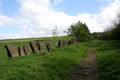 Vaccary Wall and Footpath, Wycoller - geograph.org.uk - 1282247.jpg