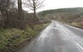 B road running towards woodland - geograph.org.uk - 1194768.jpg