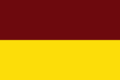 Flag of Tolima.png