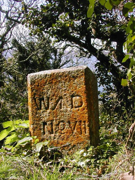 Soubor:W.D. Survey stone. - geograph.org.uk - 1362430.jpg
