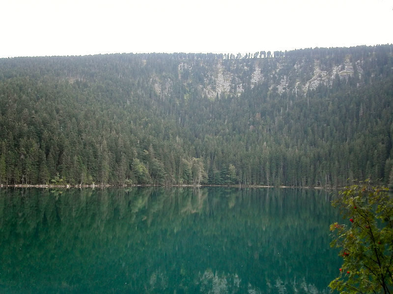 Soubor:Černé jezero, Šumava (CZE).jpg