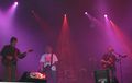 2005-06-11 New Order live.jpg