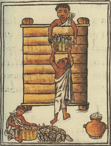 Soubor:Aztecs storing maize.jpg