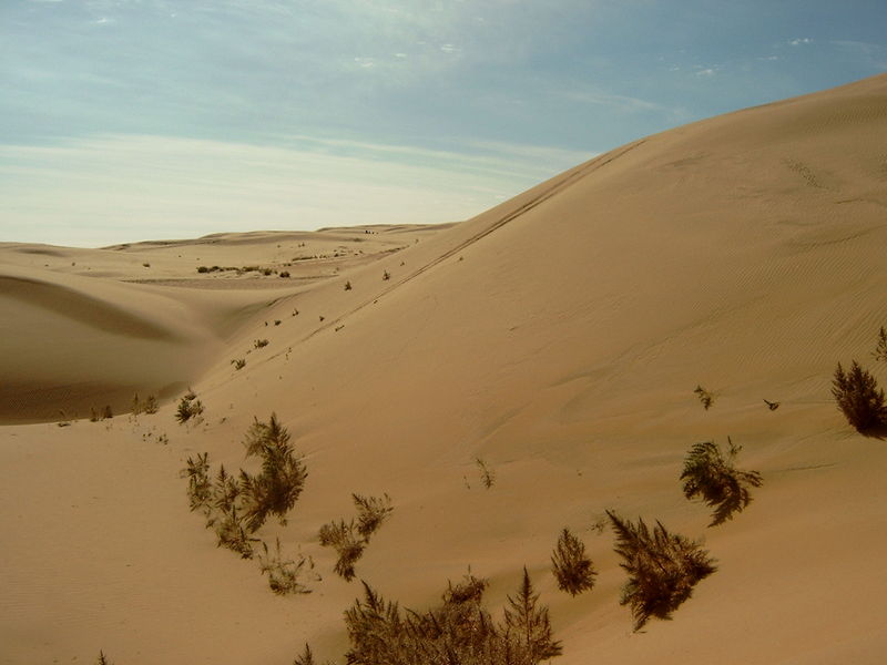 Soubor:Gobi Desert.jpg