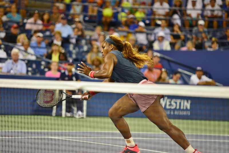 Soubor:Serena Williams (9630783137).jpg