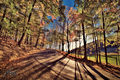 West Virgina Mountain Road Autumn Leaves HDR.jpg