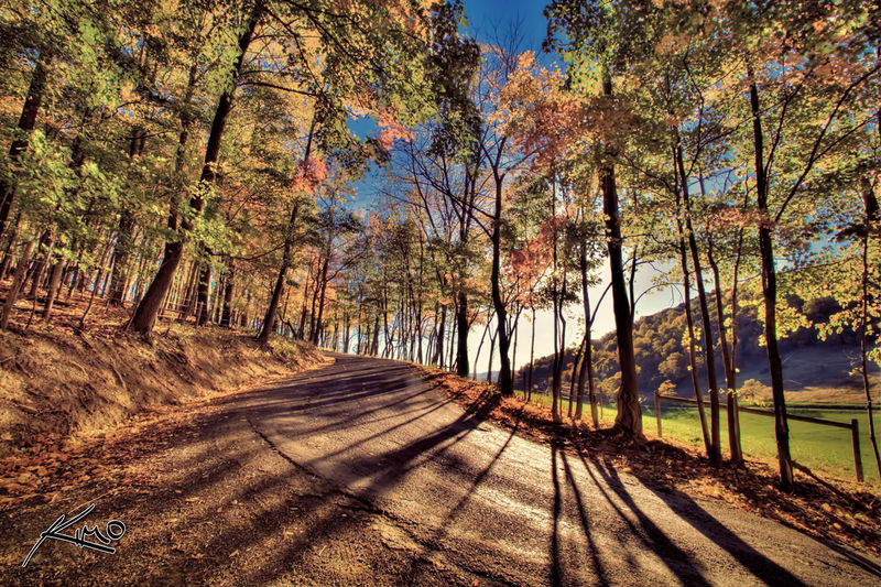 Soubor:West Virgina Mountain Road Autumn Leaves HDR.jpg