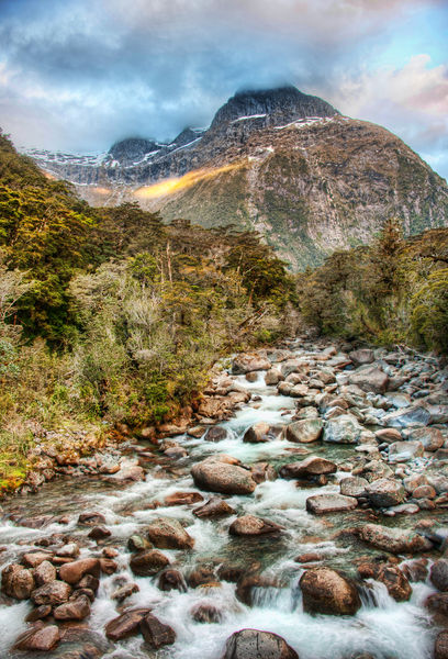Soubor:A Gentle Stream Through New Zealand.jpg