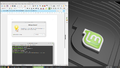 Linux Mint Ulyssa-2021-02-06-05.png