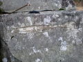 Cerrig y Cledd (The Swordstones) - geograph.org.uk - 318012.jpg