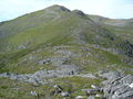 NE Ridge Sgurr nan Ceathreamhnan, Glen Affric - geograph.org.uk - 205645.jpg