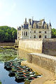 France-001652 - Rowing on the River...... (15291711448).jpg