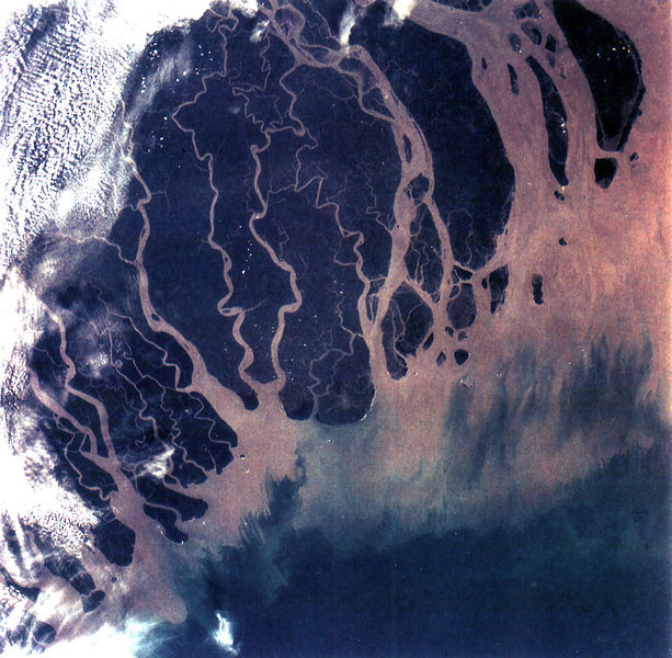 Soubor:Ganges River Delta, Bangladesh, India.jpg