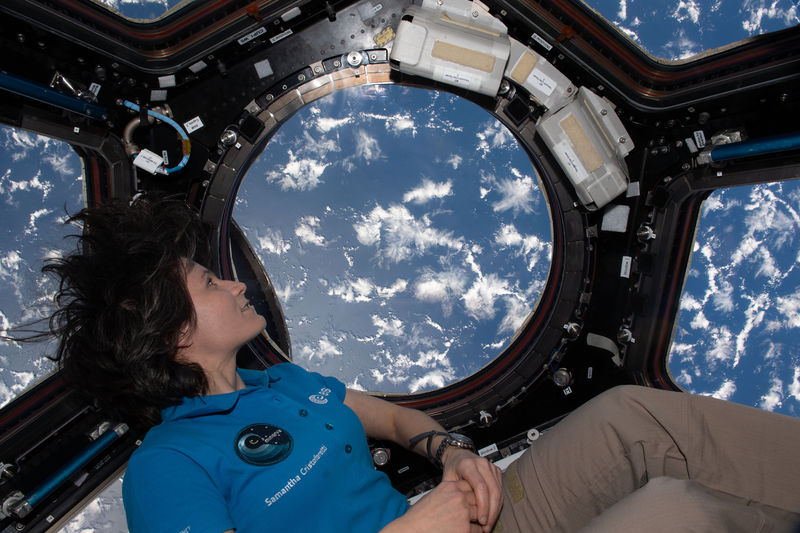 Soubor:Astronaut Samantha Cristoforetti looks at the Earth through the cupola-NASAFlickr.jpg