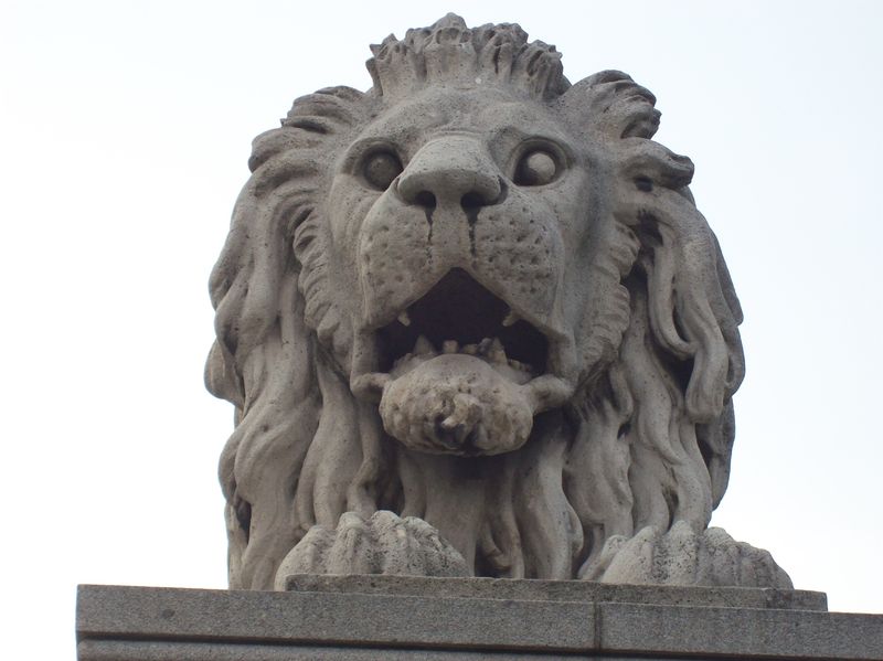 Soubor:Budapest, Lánchíd - lion.jpg