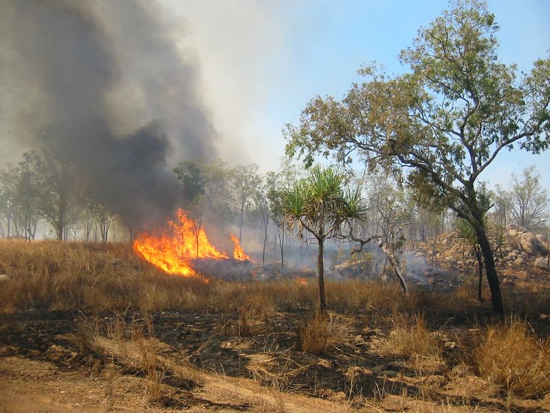 Soubor:Bushfire Australia.jpg