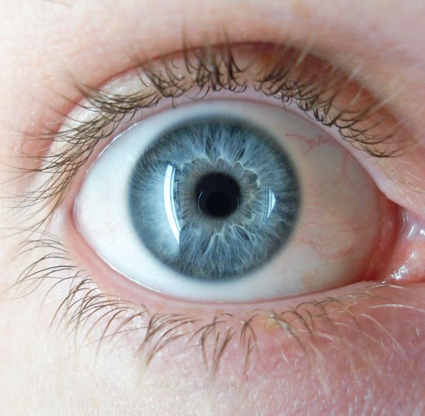 Soubor:A blue eye.jpg
