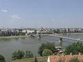 Donau bei Novi Sad.jpg