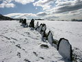 Vacchary Fence in the snow - geograph.org.uk - 752248.jpg