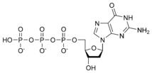 Struktura deoxyguanosintrifosfátu
