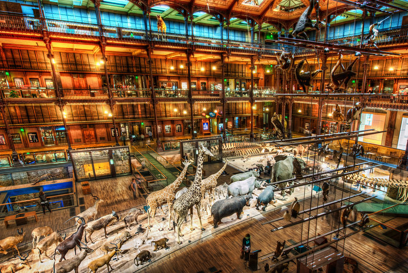 Soubor:A Night at the Museum-TRFlickr.jpg