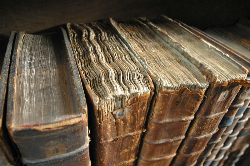 Soubor:Old book bindings.jpg