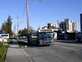 West Vancouver Blue Bus.jpg