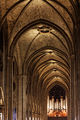 Notre-Dame de Paris - La voute de la nef - 001.jpg