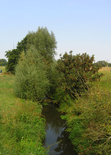 Soubor:Bystřice River in Boharyně.jpg