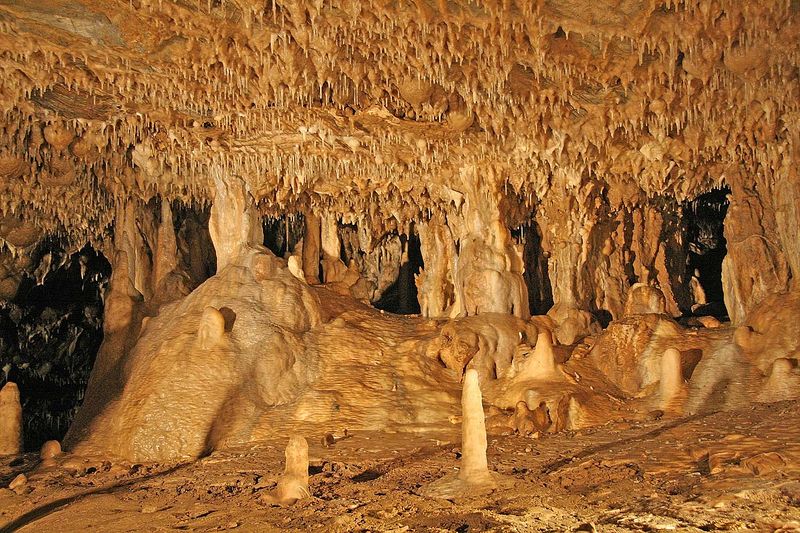 Soubor:Sloupskosošůvské jeskyně71.jpg