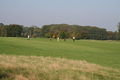 7th Fairway, Red Libbets Golf Club, Kent - geograph.org.uk - 261324.jpg