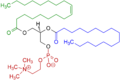 1-Oleoyl-2-almitoyl-phosphatidylcholine Structural Formulae V.1.png