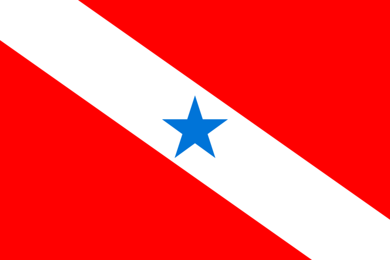 Soubor:Bandeira do Pará.png