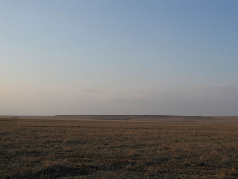 Soubor:Steppe of western Kazakhstan in the early spring.jpg