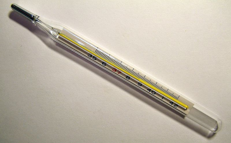 Soubor:Clinical thermometer 38.7.JPG